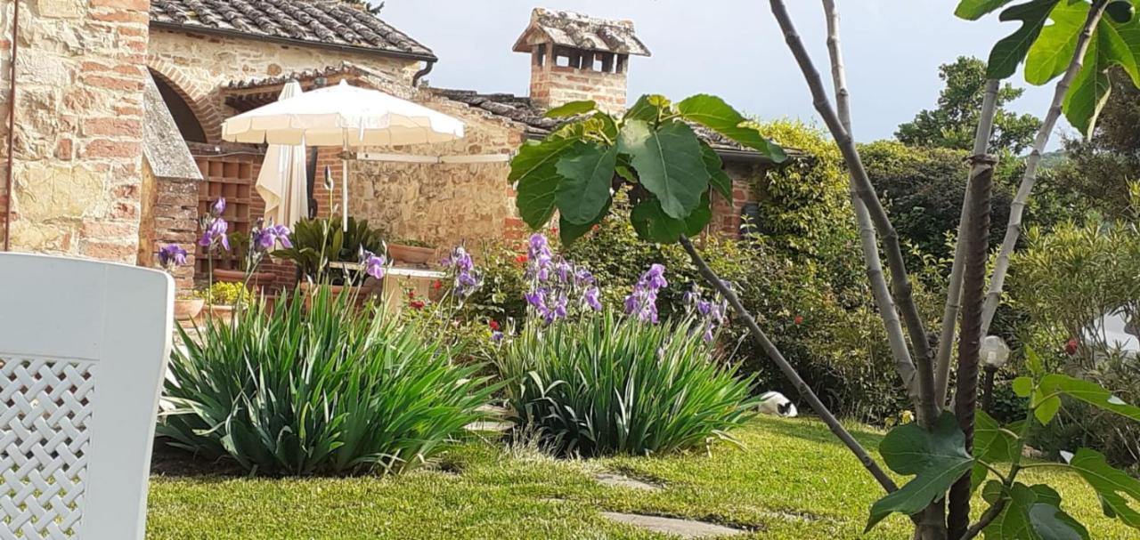 Podere Casalbosco - Idromassaggio E Panorama Rapolano Terme Extérieur photo