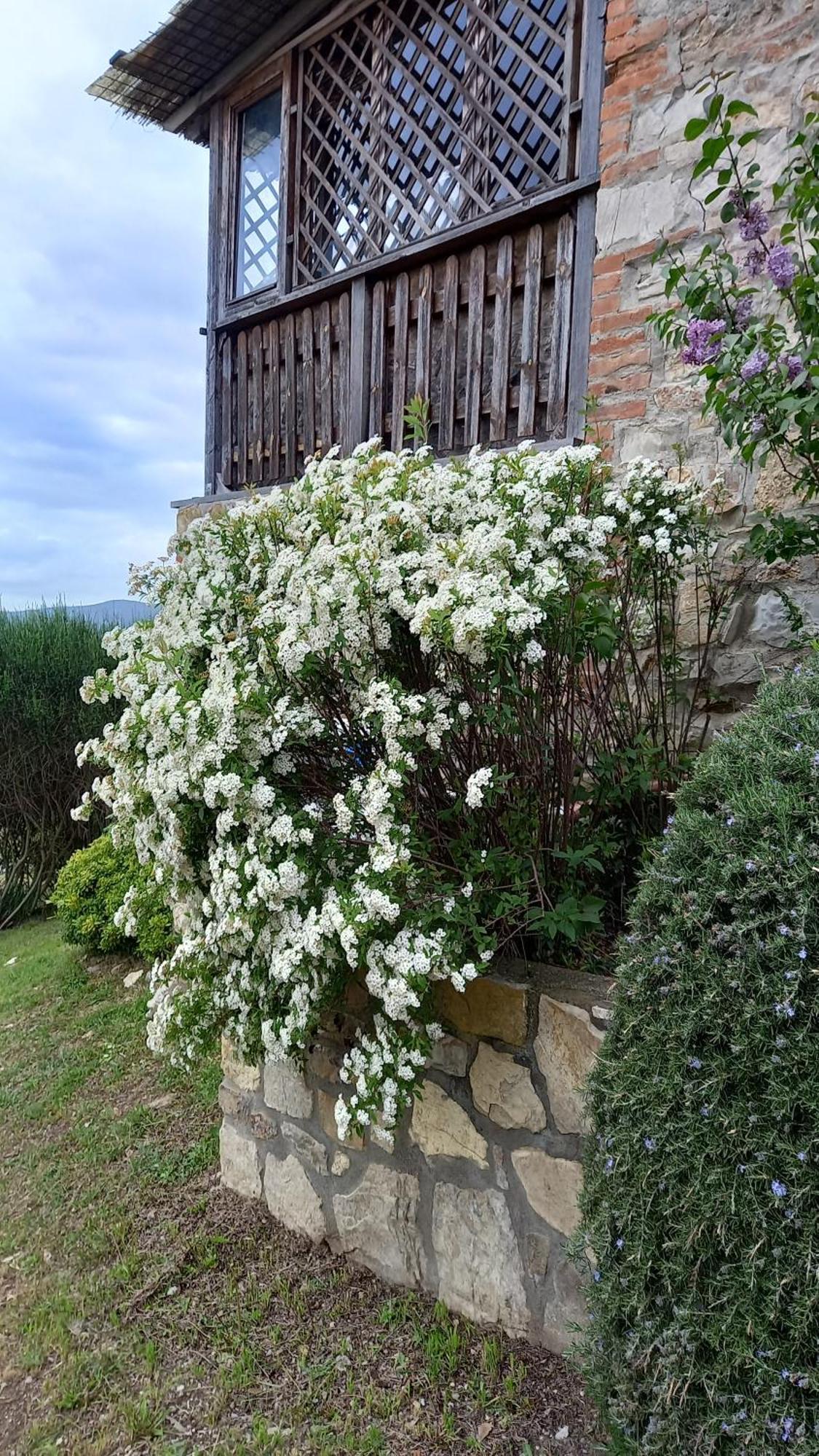 Podere Casalbosco - Idromassaggio E Panorama Rapolano Terme Extérieur photo